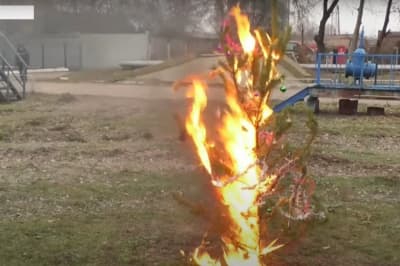 Пожар Новогодней Елки Пожар Новогодней Елки